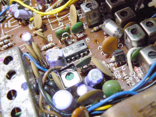 P1020876-1600.jpg