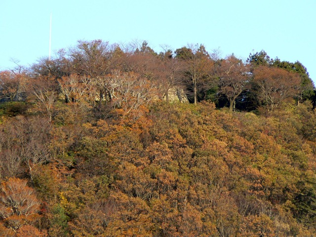P1020990-1920.jpg
