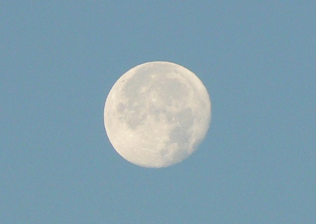 P1020998-944.jpg