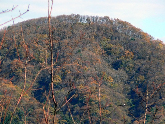 P1030003-1600.jpg