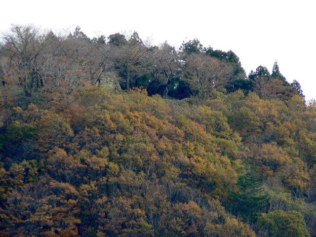 P1030007-1600.jpg