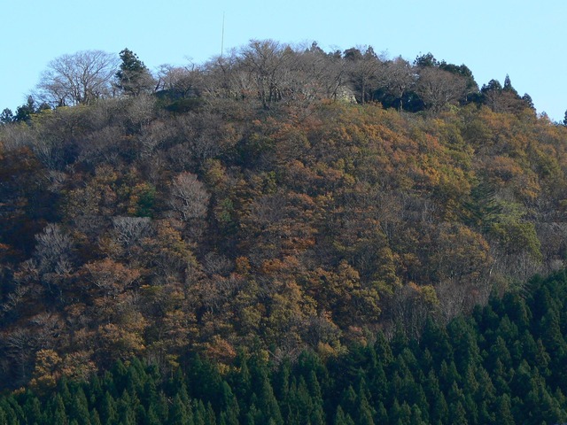 P1030009-1920.jpg