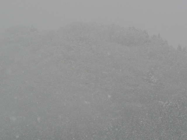 P1030081-1920.jpg