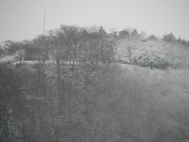 P1030143-1600.jpg