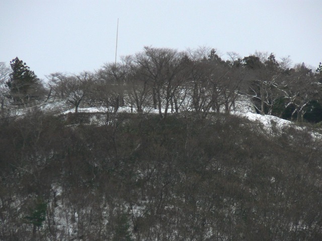 P1030149-1600.jpg