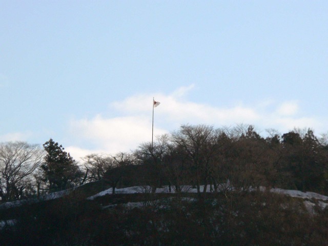 P1030258-1920.jpg