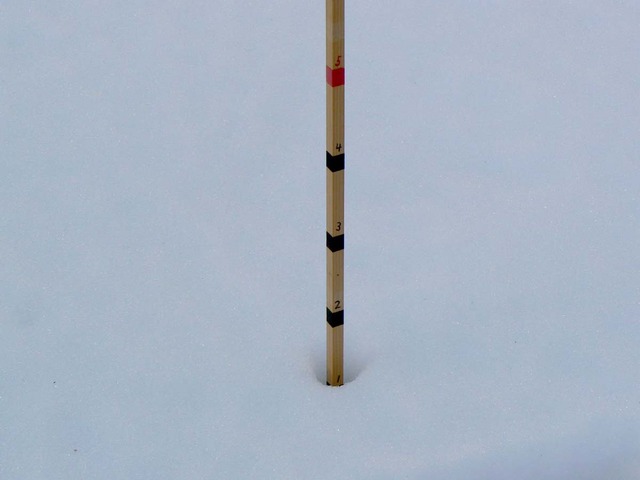 P1030279-1200.jpg