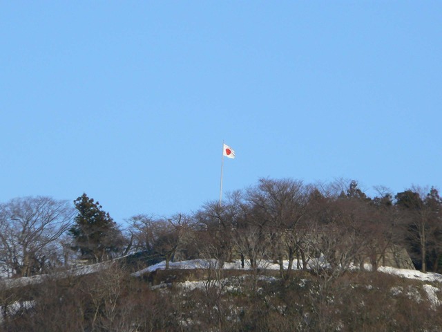 P1030284-1920.jpg