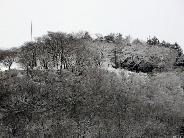 P1030307-1920.jpg