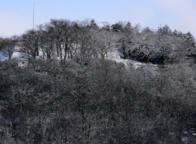 P1030309-1920.jpg