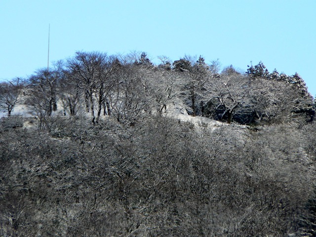 P1030315-1920.jpg