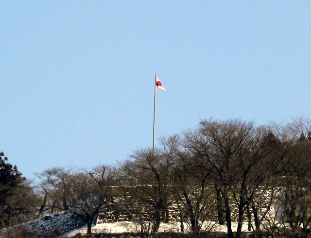 P1030354-1600.jpg