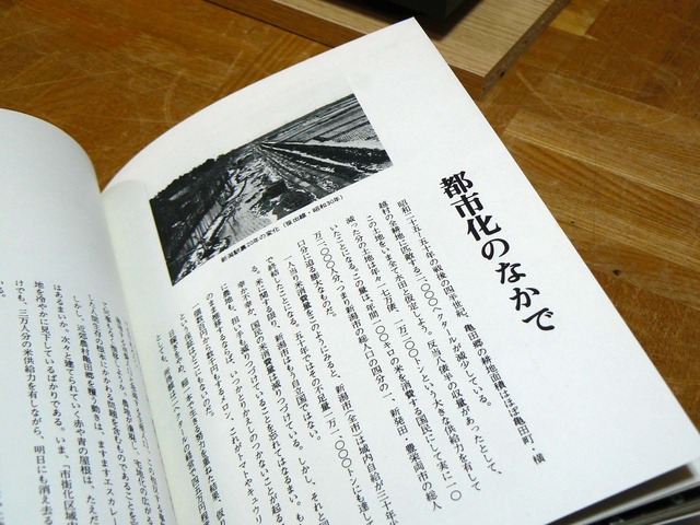P1030700-1920.jpg