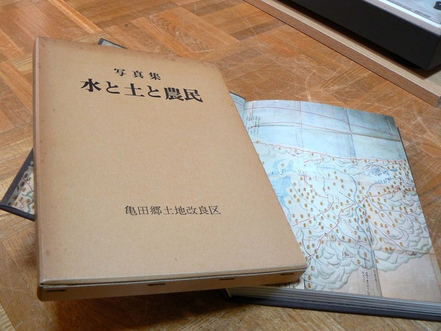 P1030702-1920.jpg