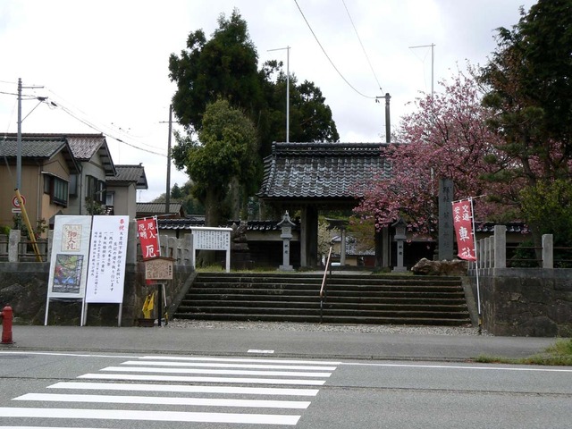 P1030787-1200.jpg