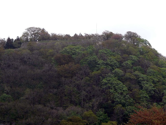 P1030795-1200.jpg