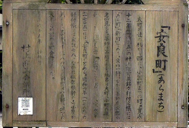 P1030801-984.jpg