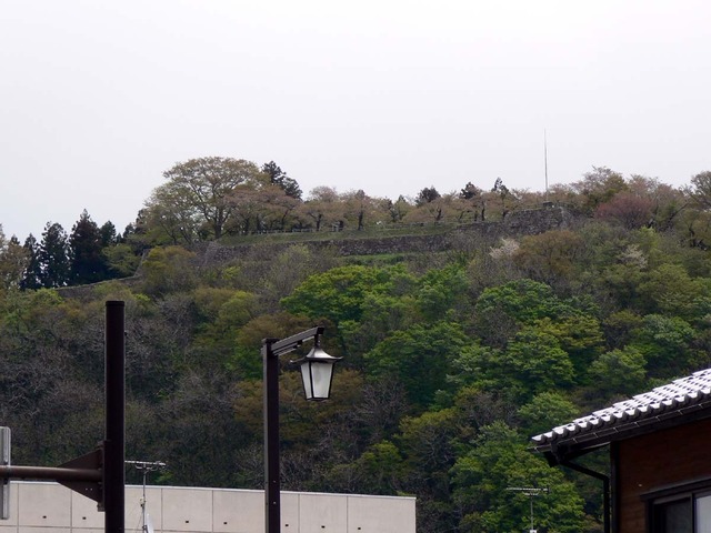 P1030807-1200.jpg