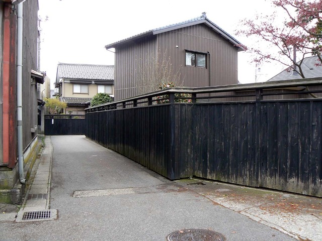 P1030820-1200.jpg