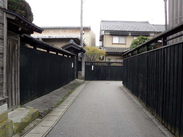 P1030821-1200.jpg