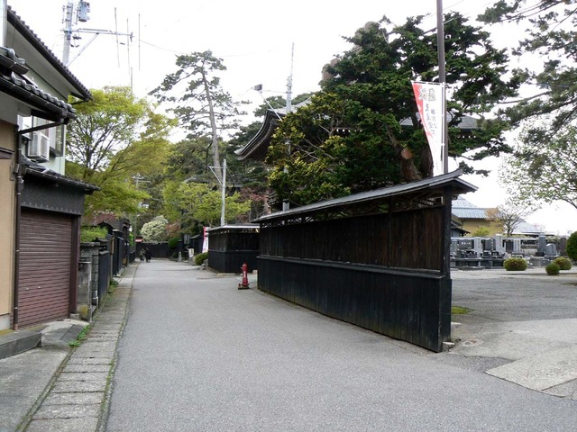 P1030823-1200.jpg