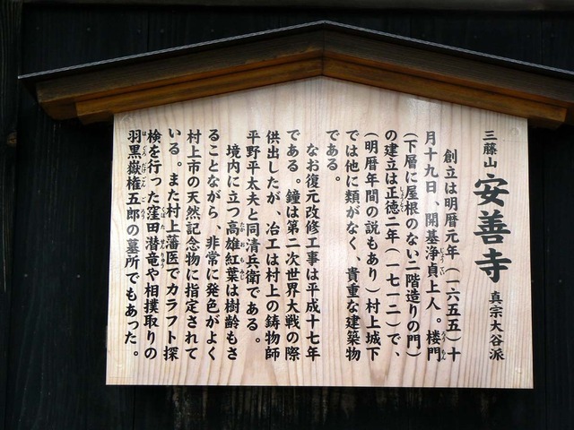P1030825-1200.jpg