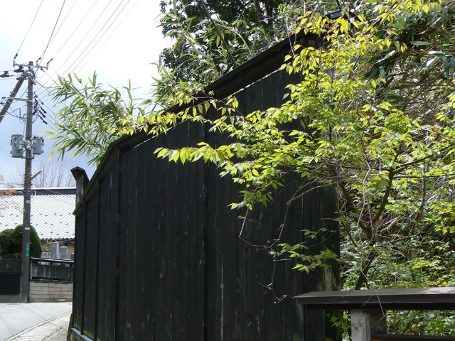 P1030834-1200.jpg