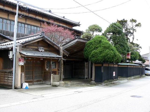 P1030837-1200.jpg
