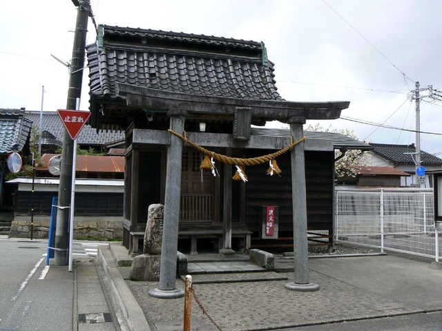 P1030845-1200.jpg