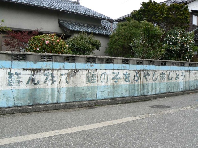 P1030849-1200.jpg
