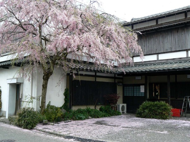 P1030850-1200.jpg