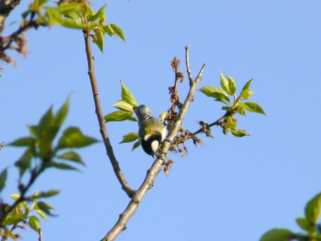 P1030861-1920.jpg