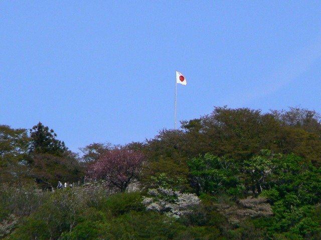 P1030872-1920.jpg