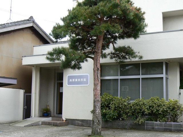 P1030924-1600.jpg