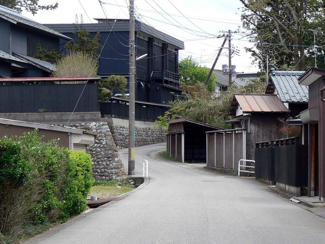 P1030927-1600.jpg