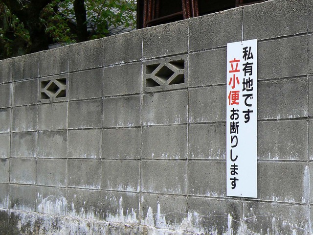 P1030932-1600.jpg