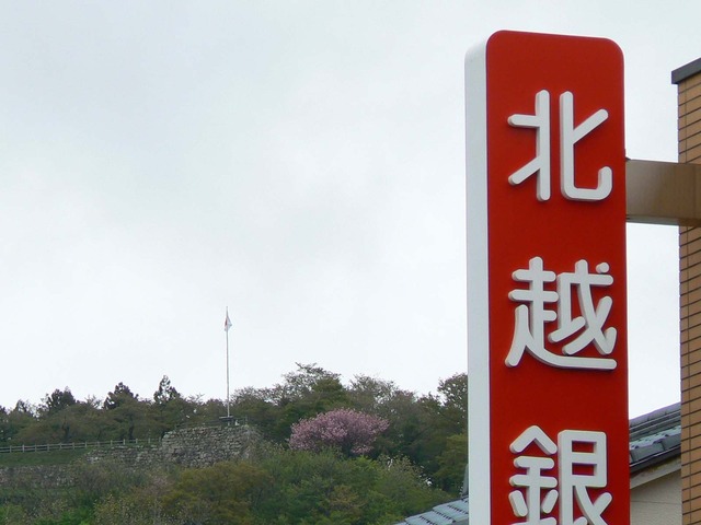 P1030953-1600.jpg