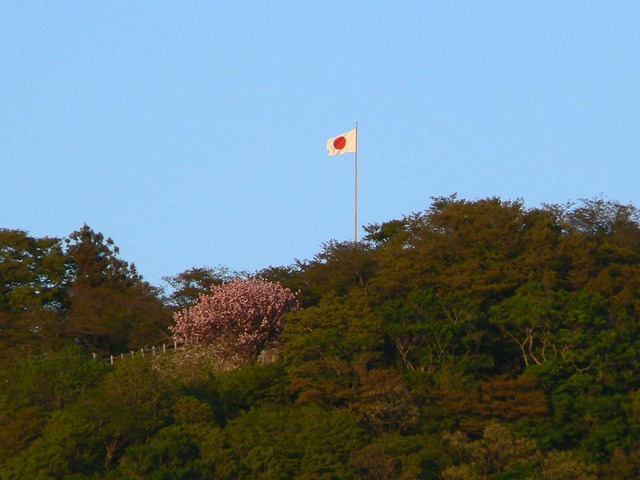 P1040118-1600.jpg