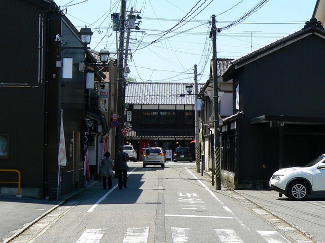 P1040125-1600.jpg