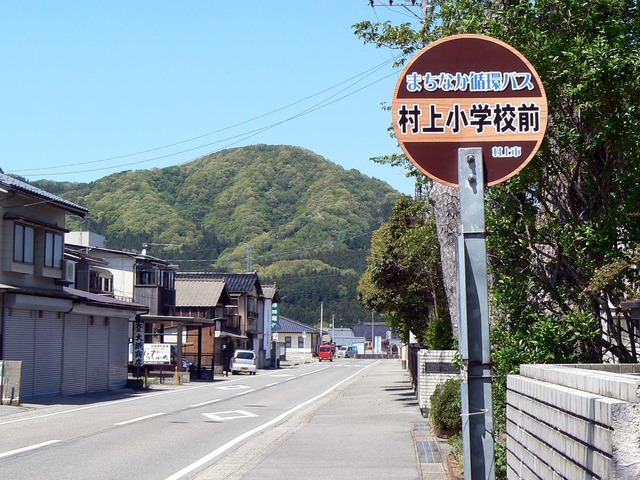 P1040127-1600.jpg