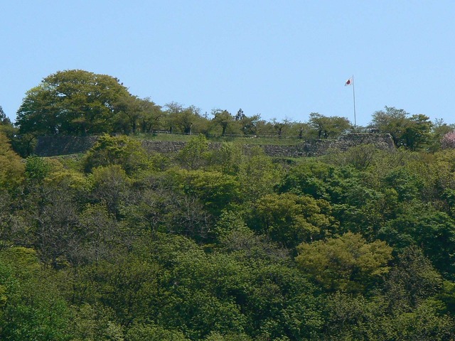 P1040144-1600.jpg