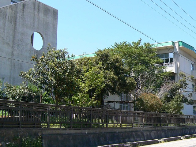 P1040146-1600.jpg