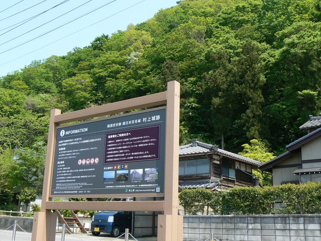 P1040195-1600.jpg