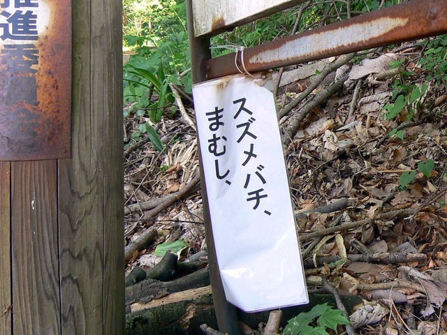 P1040207-1600.jpg