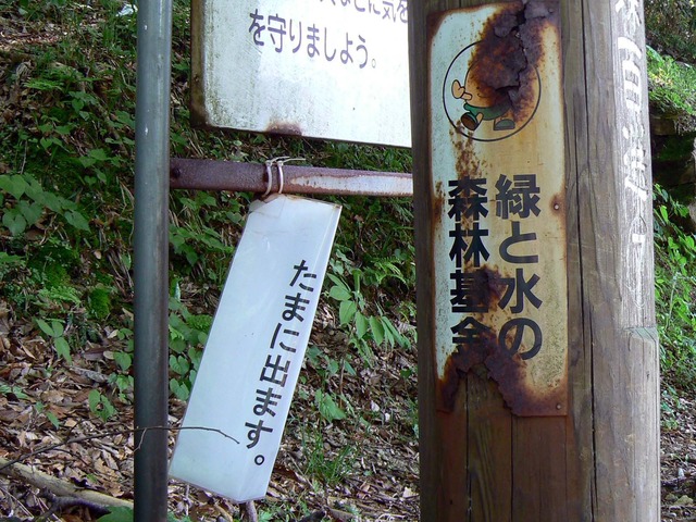 P1040208-1600.jpg