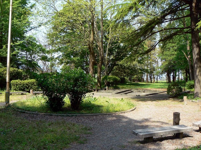 P1040212-1600.jpg