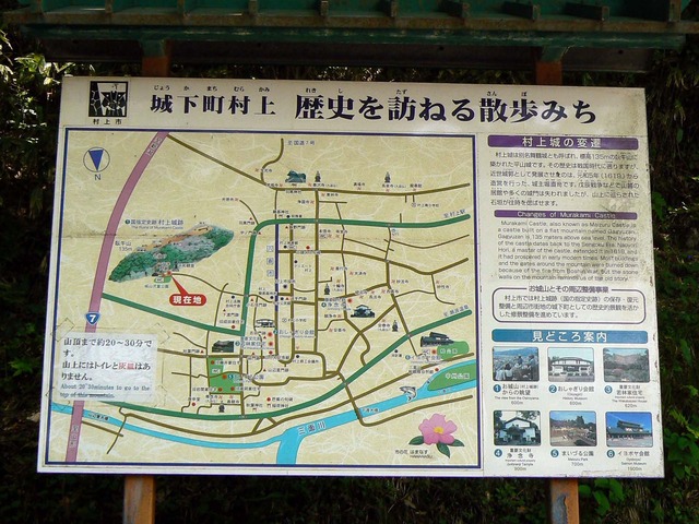 P1040216-1600.jpg
