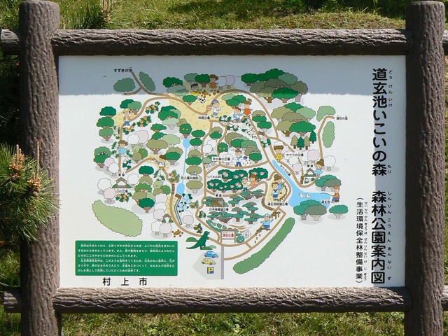 P1040273-1600.jpg