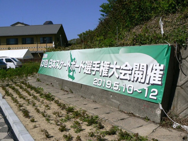 P1040296-1600.jpg