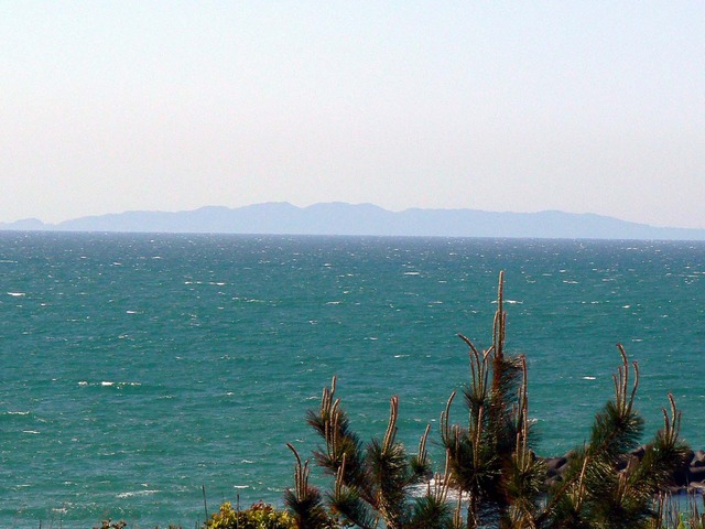 P1040308-1600.jpg